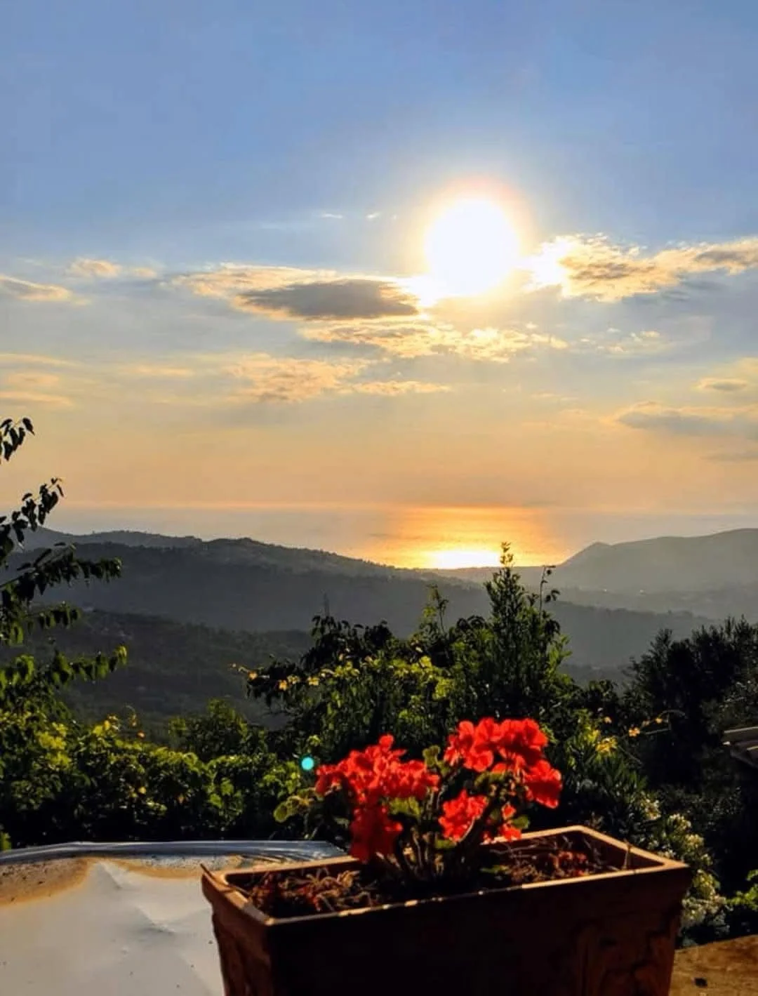 View from Cottage